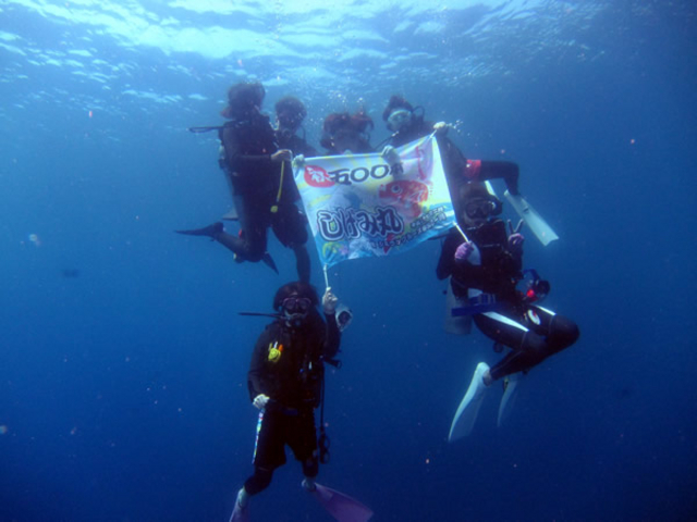 �L�O�_�C�u�����C���������I_Audrey Diving Service