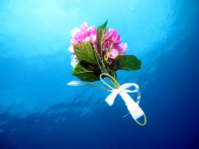 �����E�G�f�B���O�ł̂P�R�}�B�����ł̃u�[�P�g�X�͓���B�B�B_Audrey Diving Service