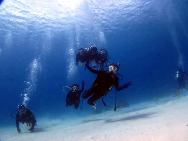 �����ł������킦�Ȃ������𐥔�I�I_Audrey Diving Service