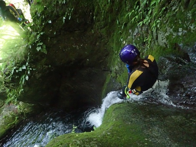 �r�b�O�E�F�[�u�~�X