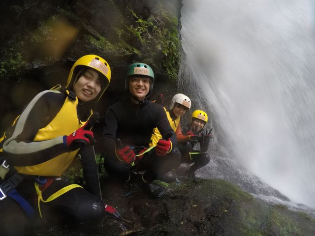 �r�b�O�E�F�[�u�~�X