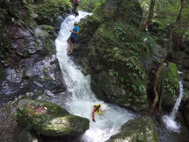 �r�b�O�E�F�[�u�~�X