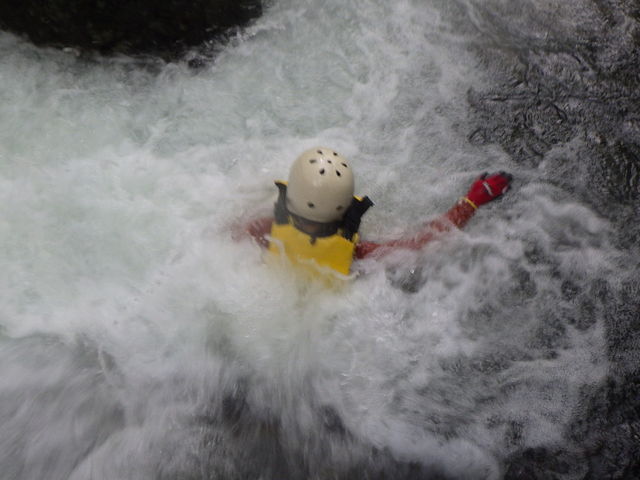 �r�b�O�E�F�[�u�~�X