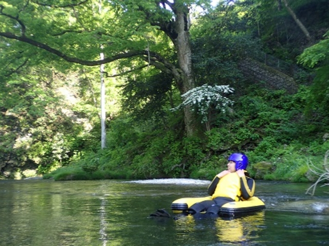 �r�b�O�E�F�[�u�~�X