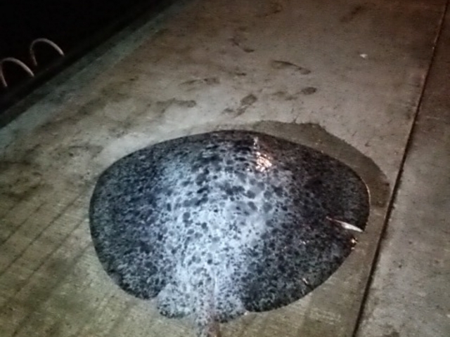 A���[�[�[�[�[_�l�C�`���[�K�C�h�@�J�g���t�B�b�V��