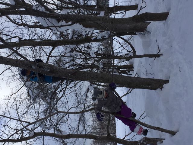 �^�[�U�����[�v_���R�����̌��Z���^�[�`���Ƒ�