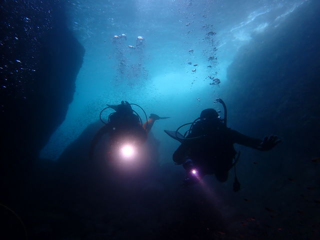 �~�G����|�C���g�I���]�䓴�A11���`4������_�M�C�}�����X�|�[�c�N���u