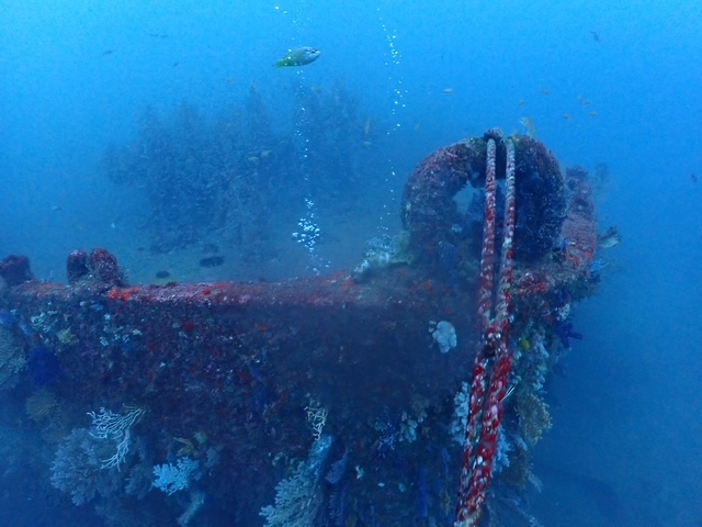 �M�C�̒��D_�M�C�}�����X�|�[�c�N���u