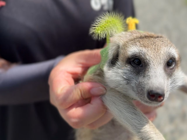 ~[ALbgɂGꍇ܂_색teBO@nbs[TvCY