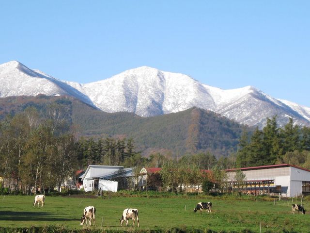 �\���A���v�X�q��