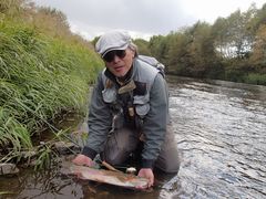 �k�C���K�C�h�c�A�[�Y�̎ʐ^