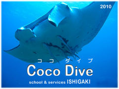 Coco�@Dive�̎ʐ^1