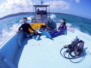 ̓A{[gcA[XSPARKLE̎ʐ^3