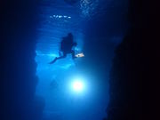 ̓A{[gcA[XSPARKLE̎ʐ^4