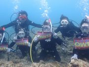 DiveAwardÓcwO{X̎ʐ^4