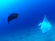 DUNK@DIVING@ENTERTAINMENT̎ʐ^2