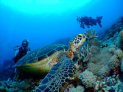 DUNK@DIVING@ENTERTAINMENT̎ʐ^3