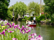 ��������ό��̎ʐ^2