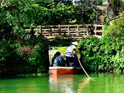 ��������ό��̎ʐ^3