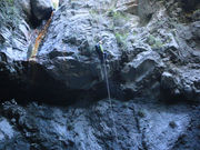 AEghANu숢h@knot̎ʐ^3