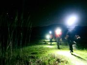 AEghANu숢h@knot̎ʐ^4