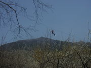 tHXgAhx`[E΂̎ʐ^2