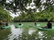 �T�b�v�I�L�i�� �C�[�Y�̎ʐ^4