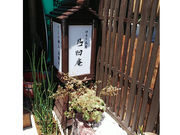 ܂ݍ׍ȞH[ʉ̎ʐ^2