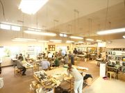 C^BAGfUCENtgXN[̎ʐ^2