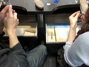 �P���W�n�E�X�̎ʐ^2