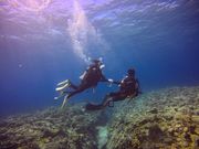 NEWS�ߔe�X�̎ʐ^3