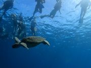 NEWS�ߔe�X�̎ʐ^2