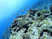 NEWS�ߔe�X�̎ʐ^4