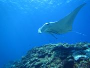 NuNu Adventure Club�̎ʐ^3