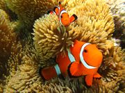 NuNu Adventure Club�̎ʐ^4