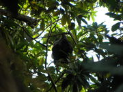 lC`[KCh@JgtBbV̎ʐ^4