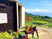 �n�[�o�������`�̎ʐ^1