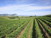 ����ό��_���̎ʐ^1