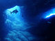 八丈島ダイビングショップアラベスクの写真2