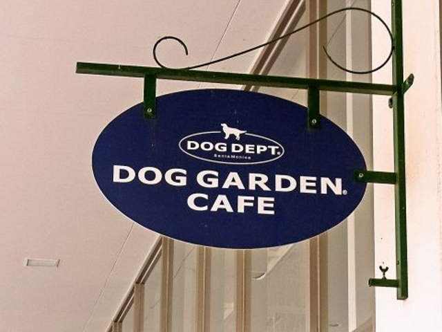 hbOK[f DOG GARDEN X̎ʐ^1