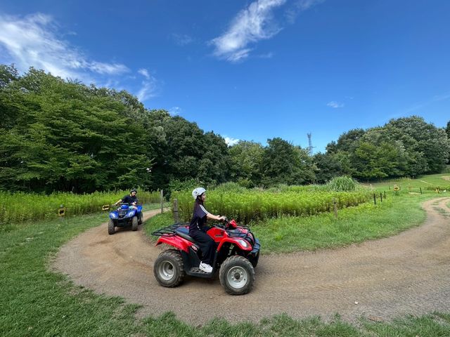 �厩�R�̒����삯�����悤��_�\�g�V�т̐X