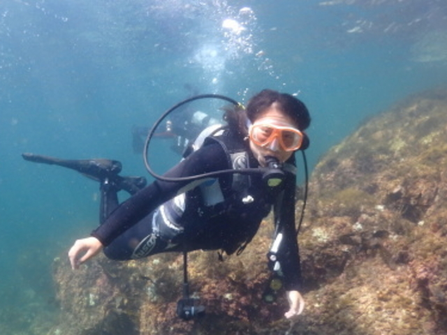 �u���[�}����