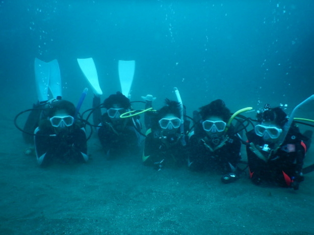 �u���[�}����