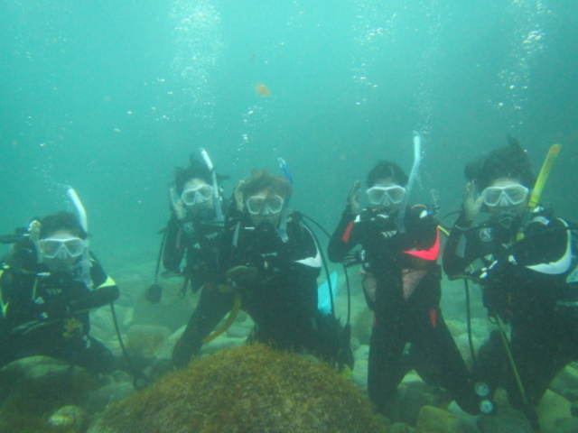 �u���[�}����