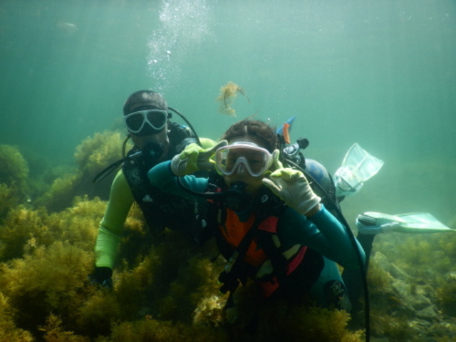 �u���[�}����