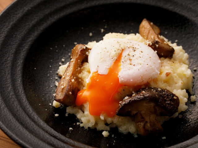 �O�����h �n�C�A�b�g ����