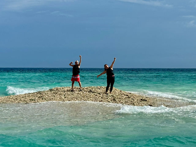 �T���S�̃J�P���łł������E�ł����������I�����������ԂɂȂ�Ώ㗤�ł��邩���I_���\�������X�[��