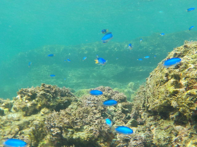 �C�̒��̓J���t���Ȃ��������ς��I_�I�[�V�����A���h�X�J�C