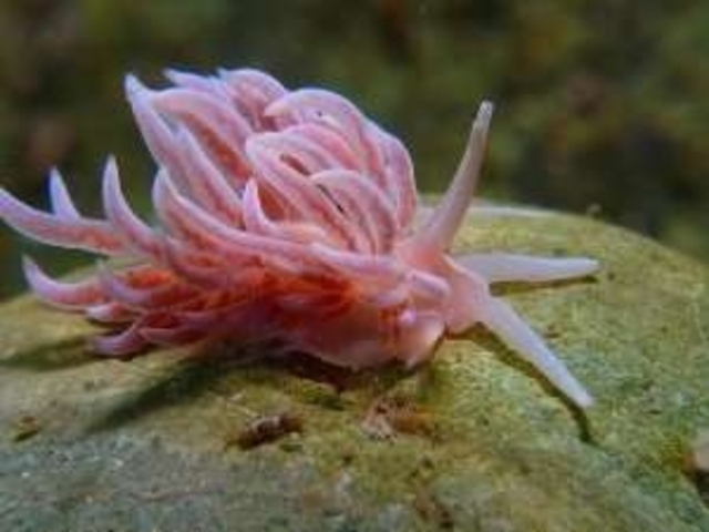 ��������ۑ���