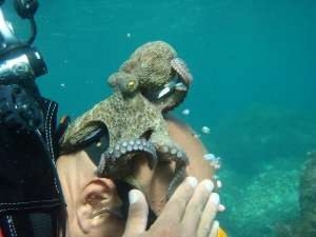 ��������ۑ���